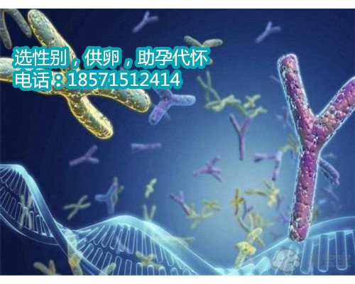 温州附一供精,瑞安妇幼保健院和瑞安人民医院哪个好一些_瑞安妇科医院哪个好